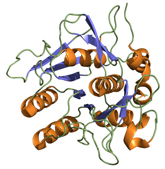 Nattokinase-Cell_nutrition