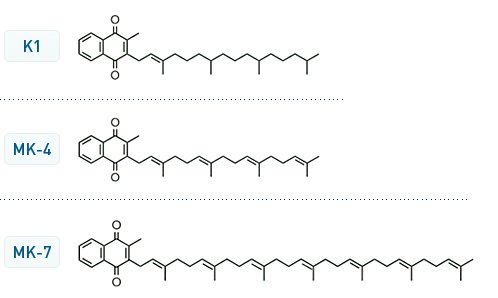 Vitamin_K_info