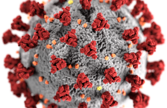 Virus