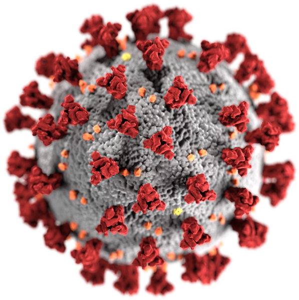 Virus