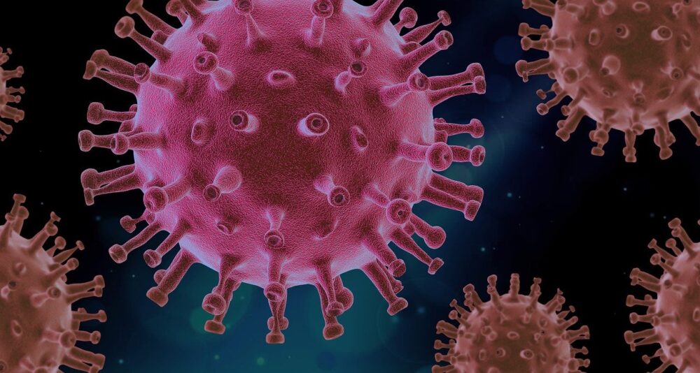 Covid-19-virus-immunität